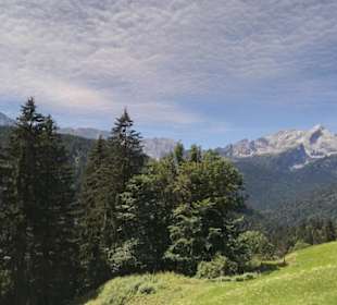 Eindrücke von unserer Wanderung am Eckbauer