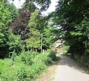 Auf dem Weg zur Walddusche
