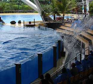 Man sitzt recht feucht in den ersten Reihen