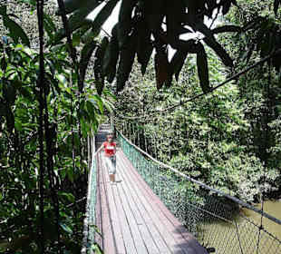 Mulu Nationalpark