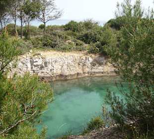 Fluß durch Oasi Bidderosa
