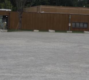 Dinosaurier Museum Altmühltal