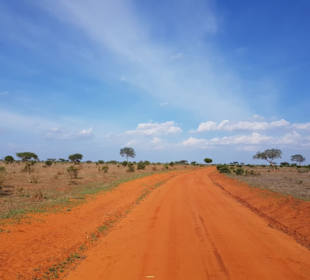 Landschaft in Tsavo Ost