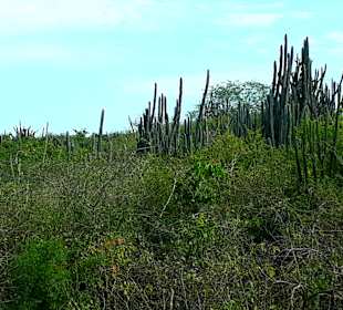 Rundreise durch Ecuador