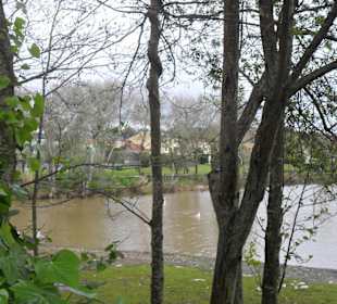 La Laguna