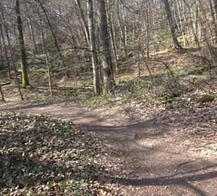 Geologischer Lehrpfad Kirnbachtal