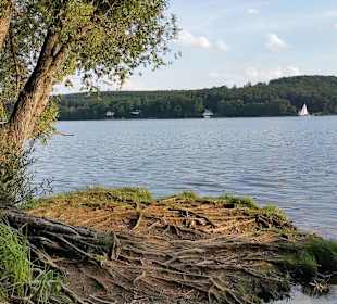 Verträumte Badebuchten am See