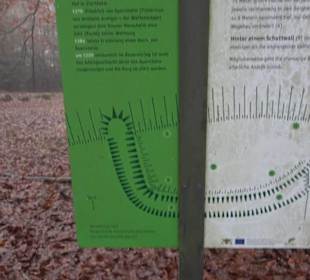 Wasser & Klang Pfad in Auernheim