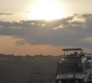 Es gibt was zu sehen