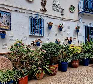 Stadtrundfahrt Torremolinos