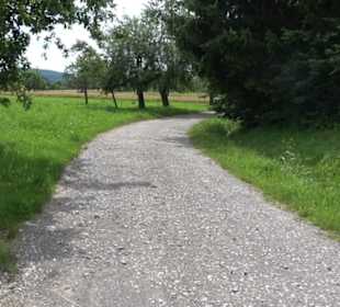 Premiumspazierweg Früchtetrauf-Leisawegle