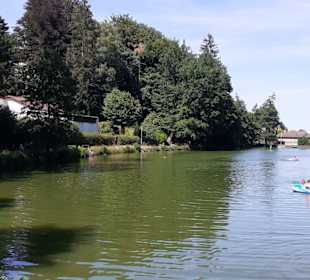 Bärenlochweiher in Kindsbach