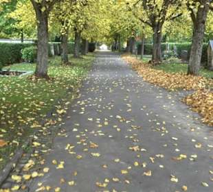 Hauptfriedhof Friedrichshafen