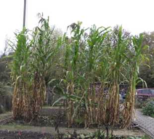 Umweltbildungszentrum Listhof