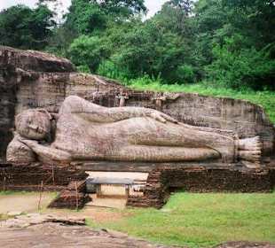 Anuradhapua polonnaruwa ruin city