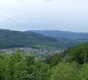 Naturpark Schwarzwald