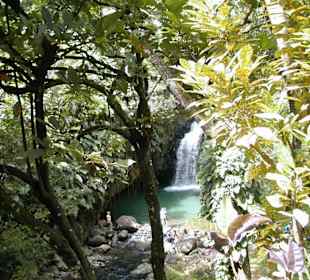 Ein Wasserfall auf Grenada
