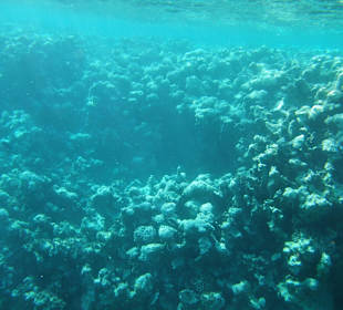 Bucht beim Schnorchelsteg