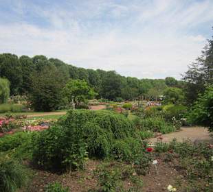 Rosengarten Zweibrücken