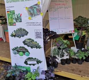 Der Stand der Universität bei "Hallo Grünkohl"