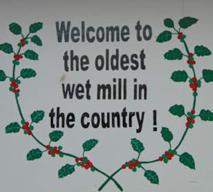 Doka Estate Kaffeeplantage