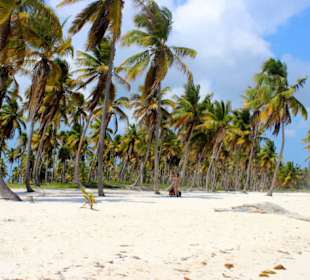 Saona VIP Ausflug mit Seavies