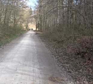 Geologischer Lehrpfad Kirnbachtal