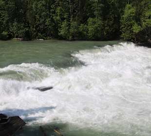 ...die Fälle selbst nicht besonders spektakulär