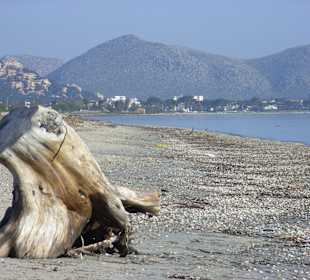 Strand 500 m Richtung Alcudia