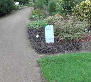 Botanischer Garten