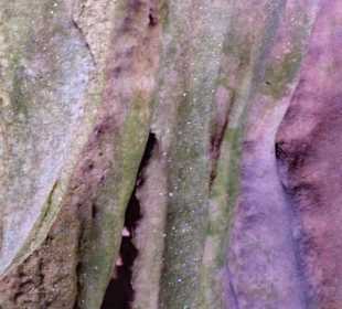 Stalagmiten
