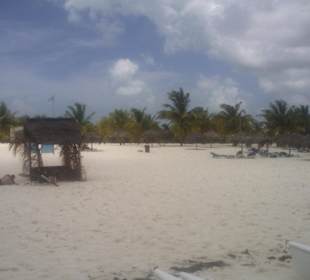 Die Insel