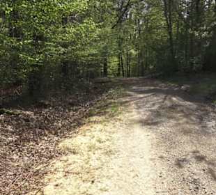 Wanderweg Firstwaldrunde