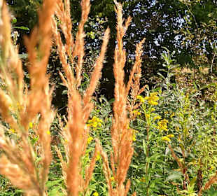 Kampinoski Park Narodowy