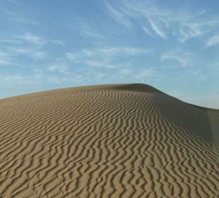 Wüstensafari