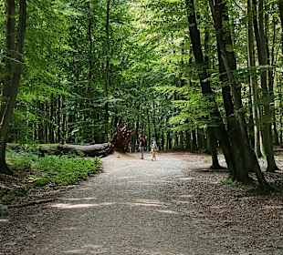 Nationalpark Jasmund 