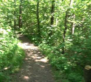 Wanderweg Sieben-Täler-Runde 