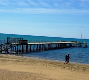 Den gibt es auch noch