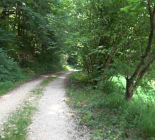 Premiumwanderweg "hochgesprudelt"