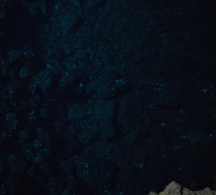  Jameos del Agua Cesar Manrique