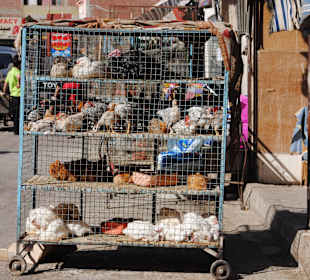 Obst- und Gemüsemarkt