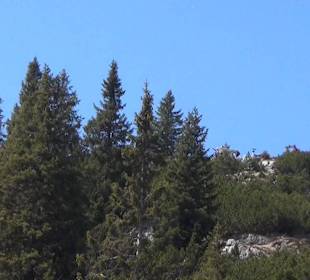 Almhütte Schlegelmulde