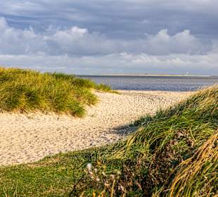 Strand Schillig