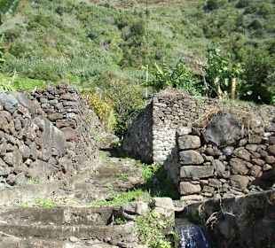 Garten oberhalb von Jardim Do Mar