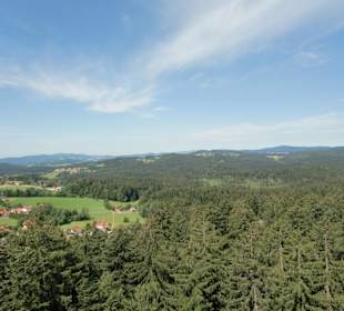 Blick von oben auf den Bayerischen Wald