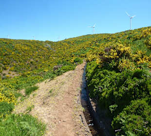 Am Südrand der Hochebene, Levada da Bica da Cana