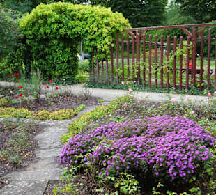 Eindrücke aus dem herbstlichen Rosengarten