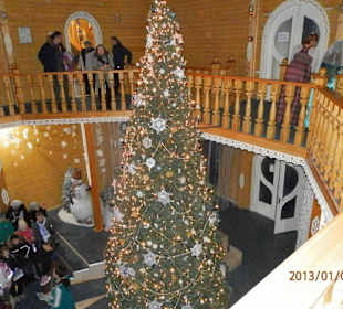 Ёлочка у него в доме