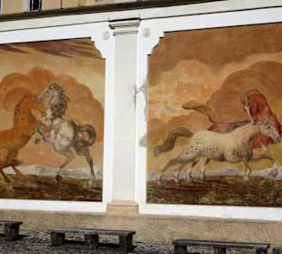 Ansichten der Salzburger Pferdeschwemme