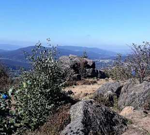 Silberberg 